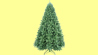 Click to view detail